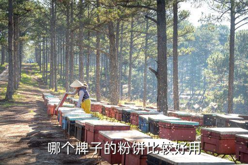 缎滑四色蜜粉饼多少钱