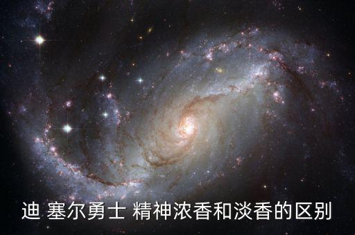 迪塞尔勇者精神香水怎么样