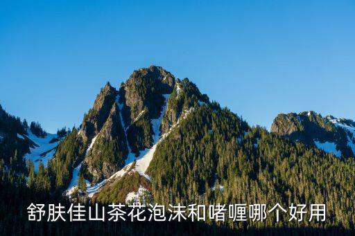 舒肤佳山茶花泡沫和啫喱哪个好用