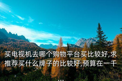 买电视机去哪个购物平台买比较好,求推荐买什么牌子的比较好,预算在一千...