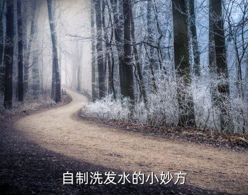自制洗发水的小妙方