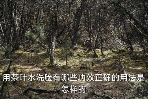 茶洗面奶对皮肤有什么作用,茶陵洗面奶适合什么皮肤？