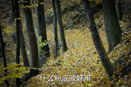 哪个粉底液品牌最自然,兰蔻粉底液哪个最好用?不假白!
