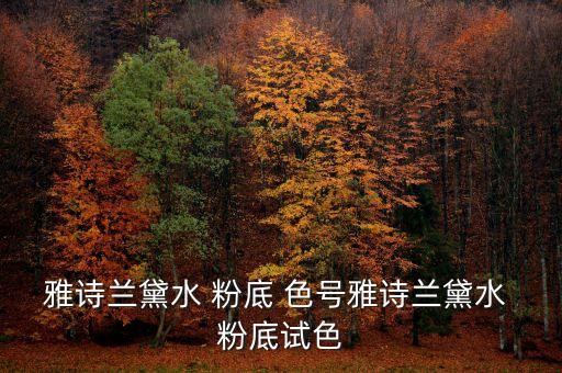 雅诗兰黛水 粉底 色号雅诗兰黛水 粉底试色