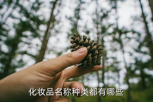 化妆品名称种类都有哪些