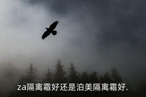 泊美和za护肤品哪个好,隔离霜和za哪个好?看这里!