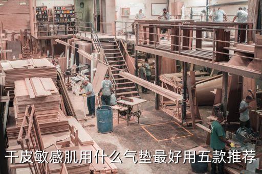 梦妆和兰芝气垫哪个好,气垫bb霜哪个牌子妆效好?