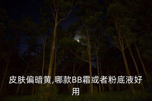 皮肤偏暗黄,哪款BB霜或者粉底液好用