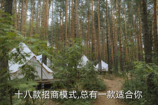 十八款招商模式,总有一款适合你