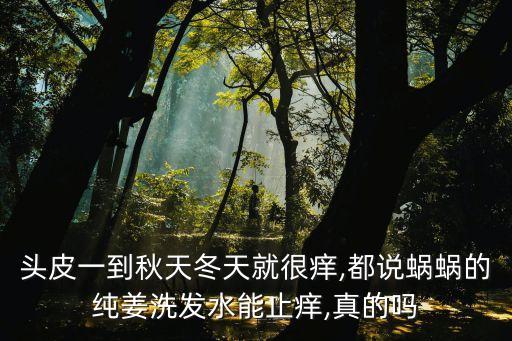 头皮一到秋天冬天就很痒,都说蜗蜗的纯姜洗发水能止痒,真的吗