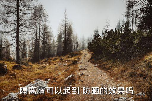  隔离霜可以起到 防晒的效果吗