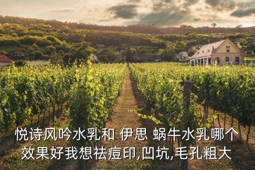 悦诗风吟水乳和 伊思 蜗牛水乳哪个效果好我想祛痘印,凹坑,毛孔粗大