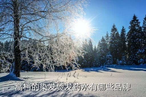 高档的染发烫发药水有哪些品牌
