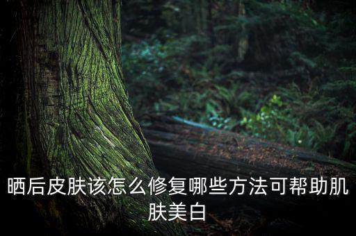 晒后皮肤该怎么修复哪些方法可帮助肌肤美白