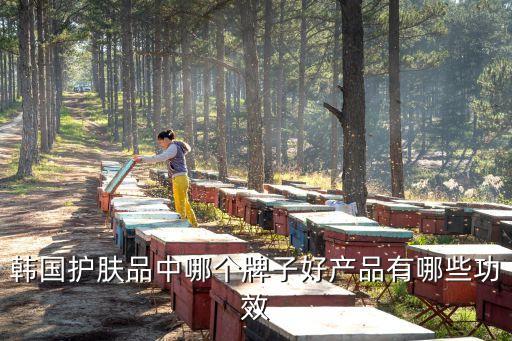 iope高效保湿修护面霜怎么样