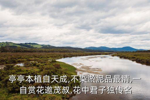 蔓芙泉护肤品怎么样,蜜芝泉护肤品怎么样