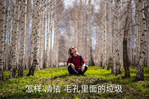 怎样 清洁 毛孔里面的垃圾