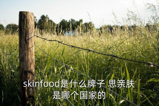 skinfood是什么牌子 思亲肤是哪个国家的