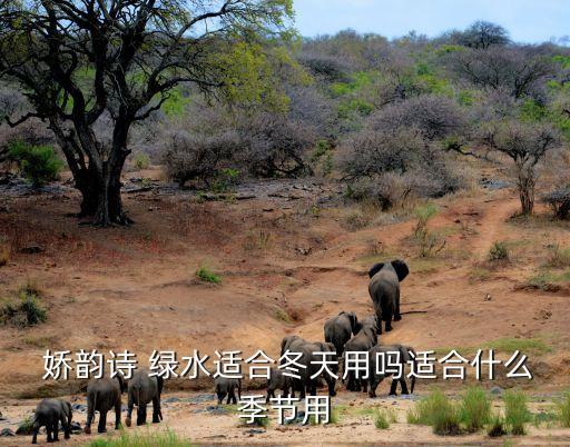  娇韵诗 绿水适合冬天用吗适合什么季节用
