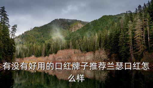 有没有好用的口红牌子推荐兰瑟口红怎么样
