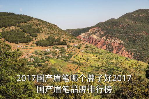2017国产眉笔哪个牌子好2017国产眉笔品牌排行榜