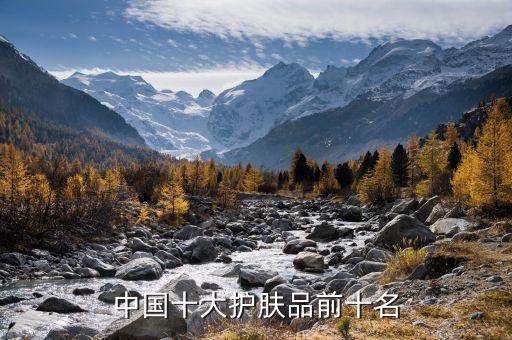 中国十大护肤品前十名