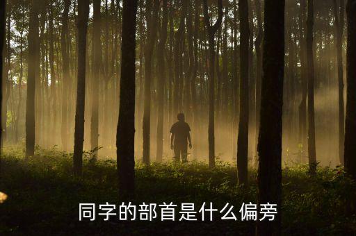 同的部手是什么牌子,海底捞手护是什么牌子