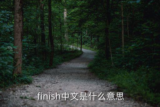  finish中文是什么意思