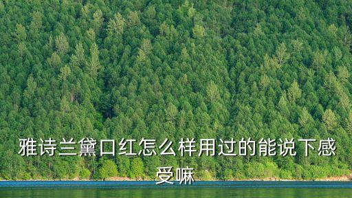 雅诗兰黛唇彩哪个色号好看