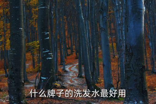 reveur scalp怎么样,洗发水有什么好的？