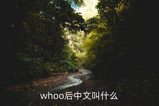 whoo后中文叫什么