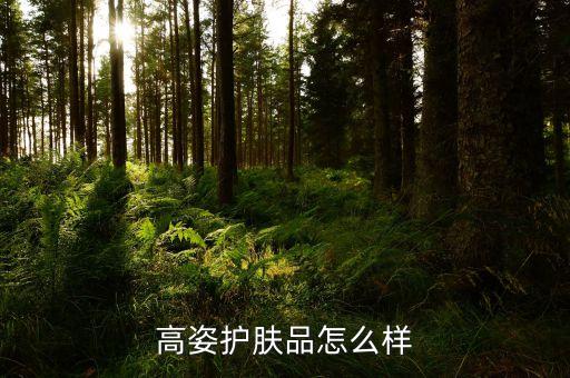 高姿护肤品怎么样