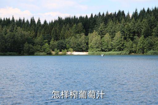 怎样榨葡萄汁