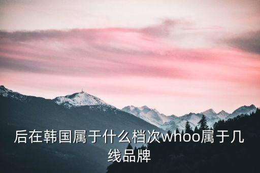 后在韩国属于什么档次whoo属于几线品牌