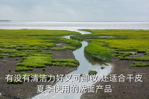 有没有清洁力好又可卸妆,还适合干皮夏季使用的洗面产品