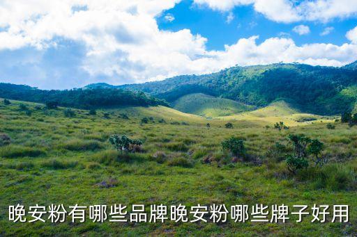 club的蜜粉怎么样,芙丽芳丝蜜粉怎么样