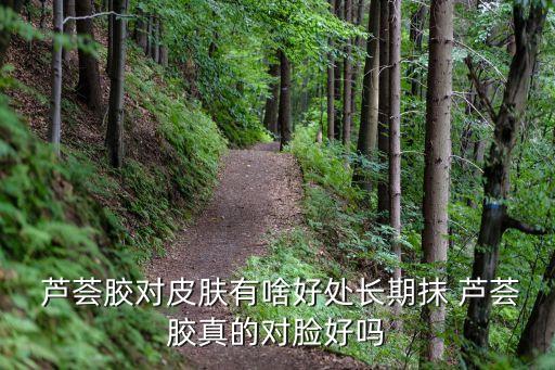  芦荟胶对皮肤有啥好处长期抹 芦荟胶真的对脸好吗