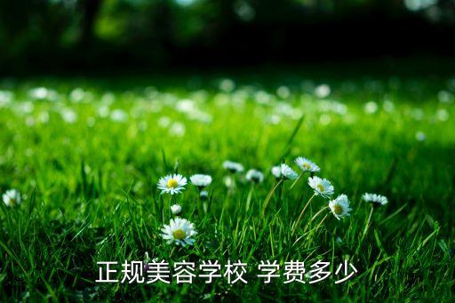 美体培训学费多少,小提琴培训的学费一般是多少