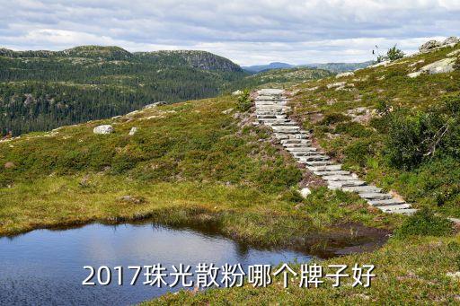 2017珠光散粉哪个牌子好