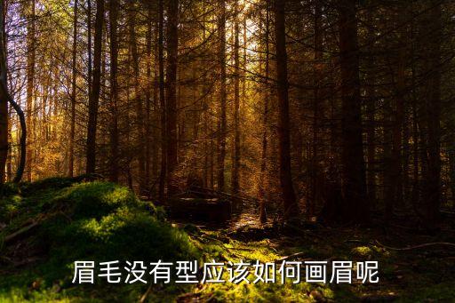 没眉毛怎么画,没有眉毛怎么画?这样画比较好看
