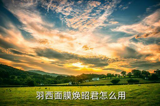 羽西护肤品如何使用,羽西和佰草集哪个护肤品好