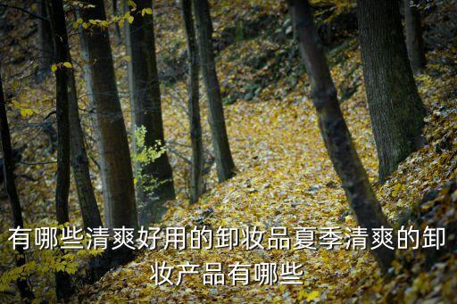 娇韵诗洁颜露如何使用,给20分！混合性皮肤改善