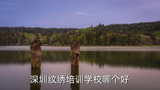 深圳纹绣培训学校哪个好