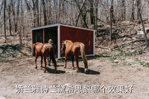 稀思黎护肤品怎么样,雪诗黎护肤品怎么样