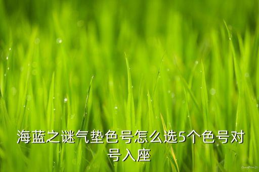 海蓝之谜气垫色号怎么选5个色号对号入座