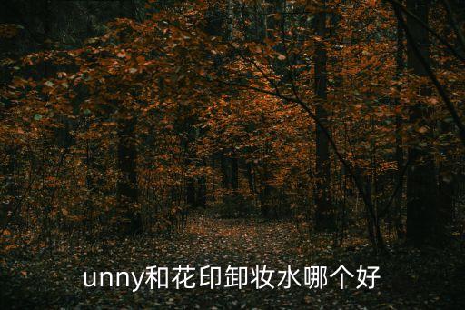 unny和花印卸妆水哪个好