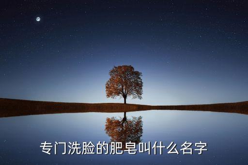 专门洗脸的肥皂叫什么名字