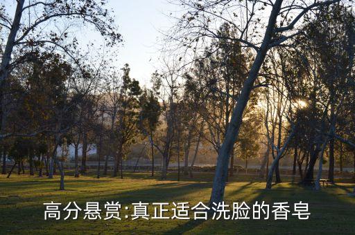 高分悬赏:真正适合洗脸的香皂