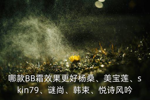 哪款BB霜效果更好杨桑、美宝莲、skin79、谜尚、韩束、悦诗风吟