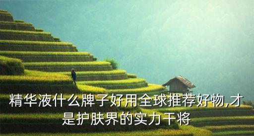 精华液什么牌子好用全球推荐好物,才是护肤界的实力干将